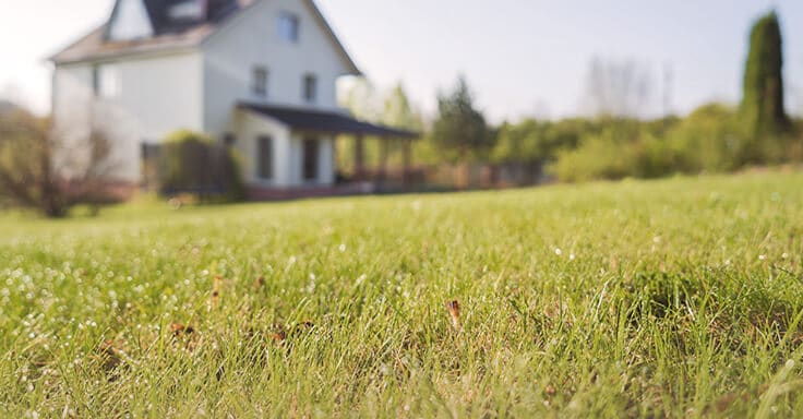 Garten am Haus