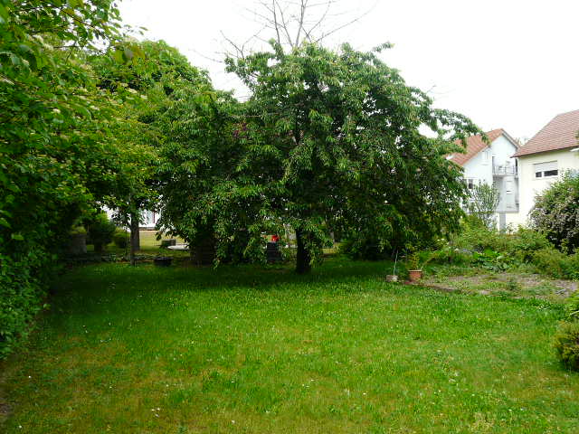 Wohnung mit Garten